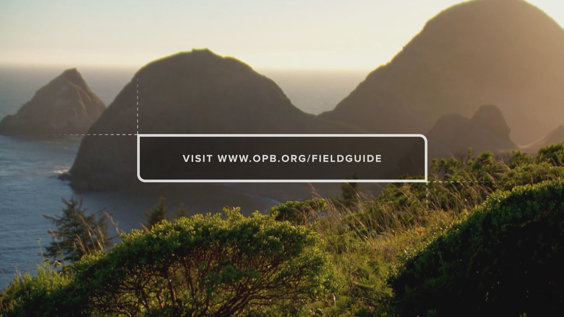 Screen graphics showing Oregon Field Guide URL overlaid on footage of coastline