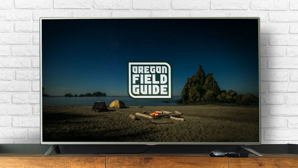 TV showing OPB's Oregon Field Guide logo overlaid on footage of two tents on a beach